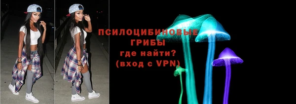 крисы Михайловск