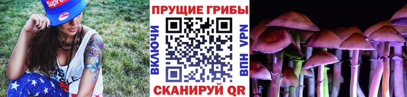 Псилоцибиновые грибы Magic Shrooms  цены наркотик  Армавир 