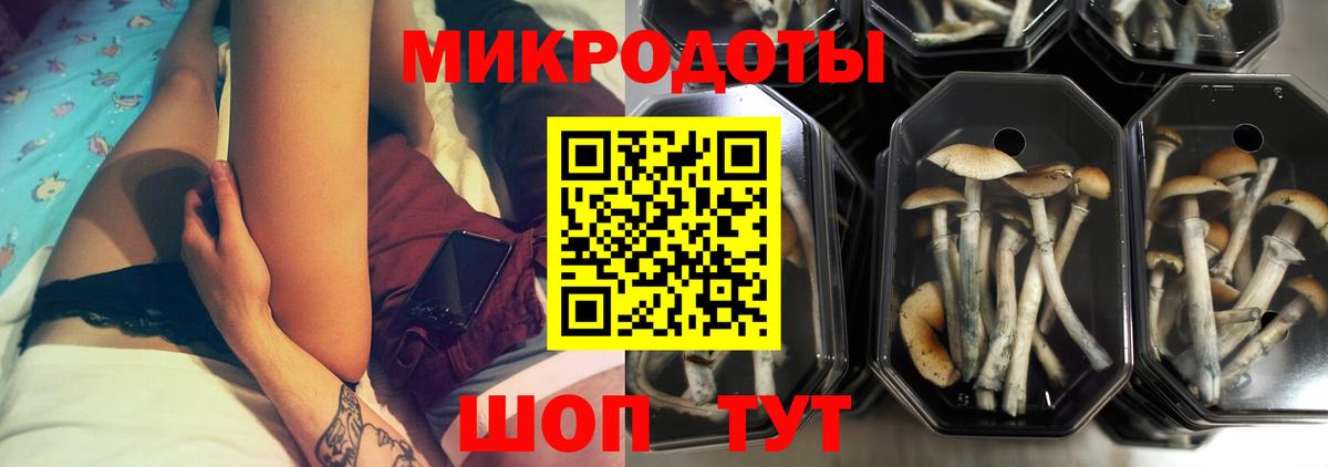 Галлюциногенные грибы ЛСД Армавир